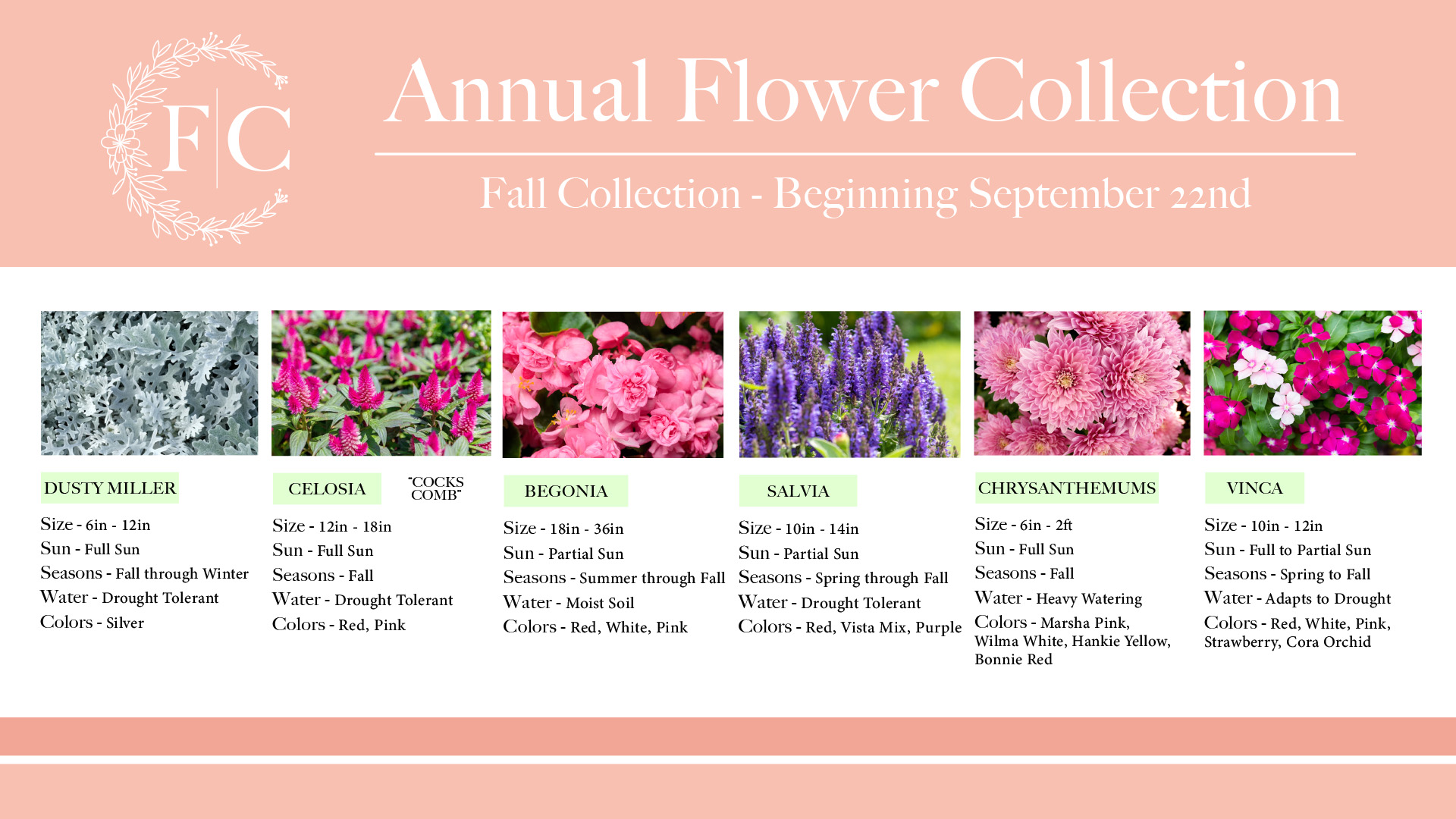 https://fortmyersgardenservice.com/wp-content/uploads/2022/11/FMGS-Annuals-Web-Graphics_Fall-Collection.jpg