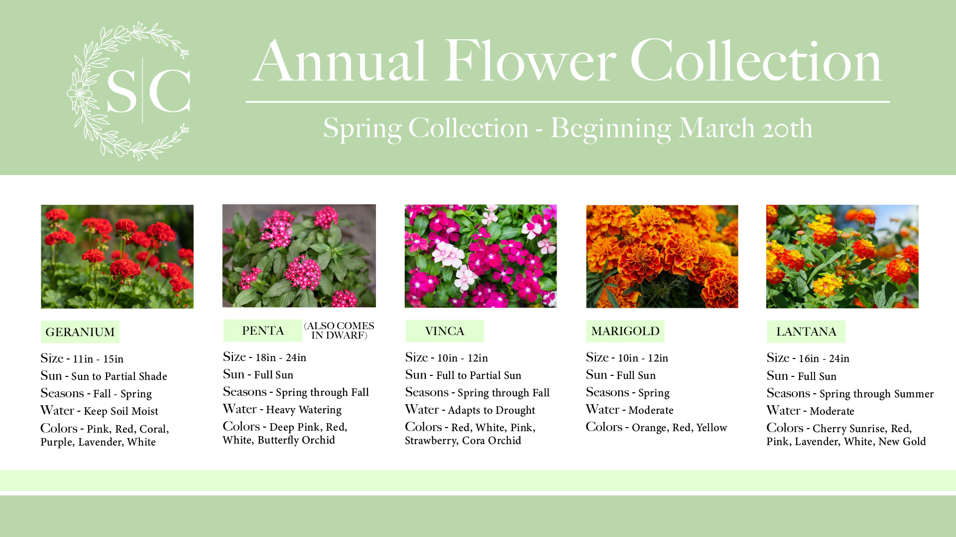 https://fortmyersgardenservice.com/wp-content/uploads/2022/11/FMGS-Annuals-Web-Graphics_Spring-Collection.jpg