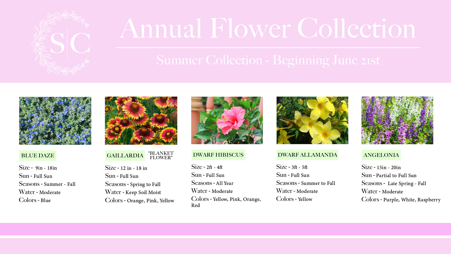 https://fortmyersgardenservice.com/wp-content/uploads/2022/11/FMGS-Annuals-Web-Graphics_Summer-Collection.jpg