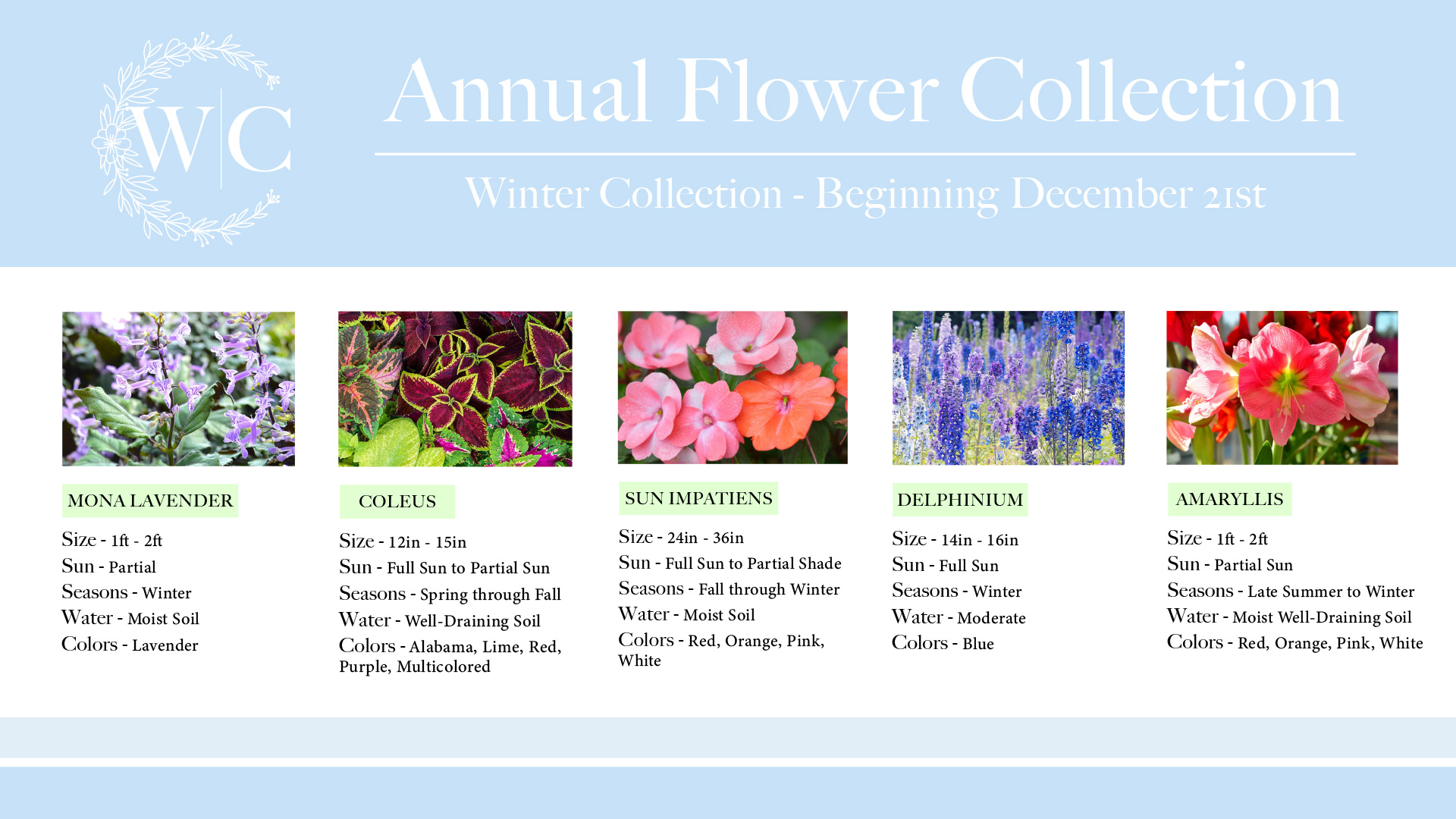 https://fortmyersgardenservice.com/wp-content/uploads/2022/11/FMGS-Annuals-Web-Graphics_Winter-Collection.jpg